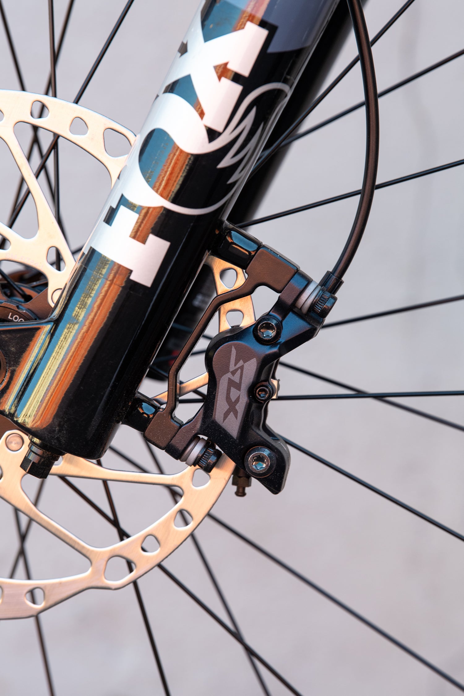 MARIN Rift Zone E2 2025