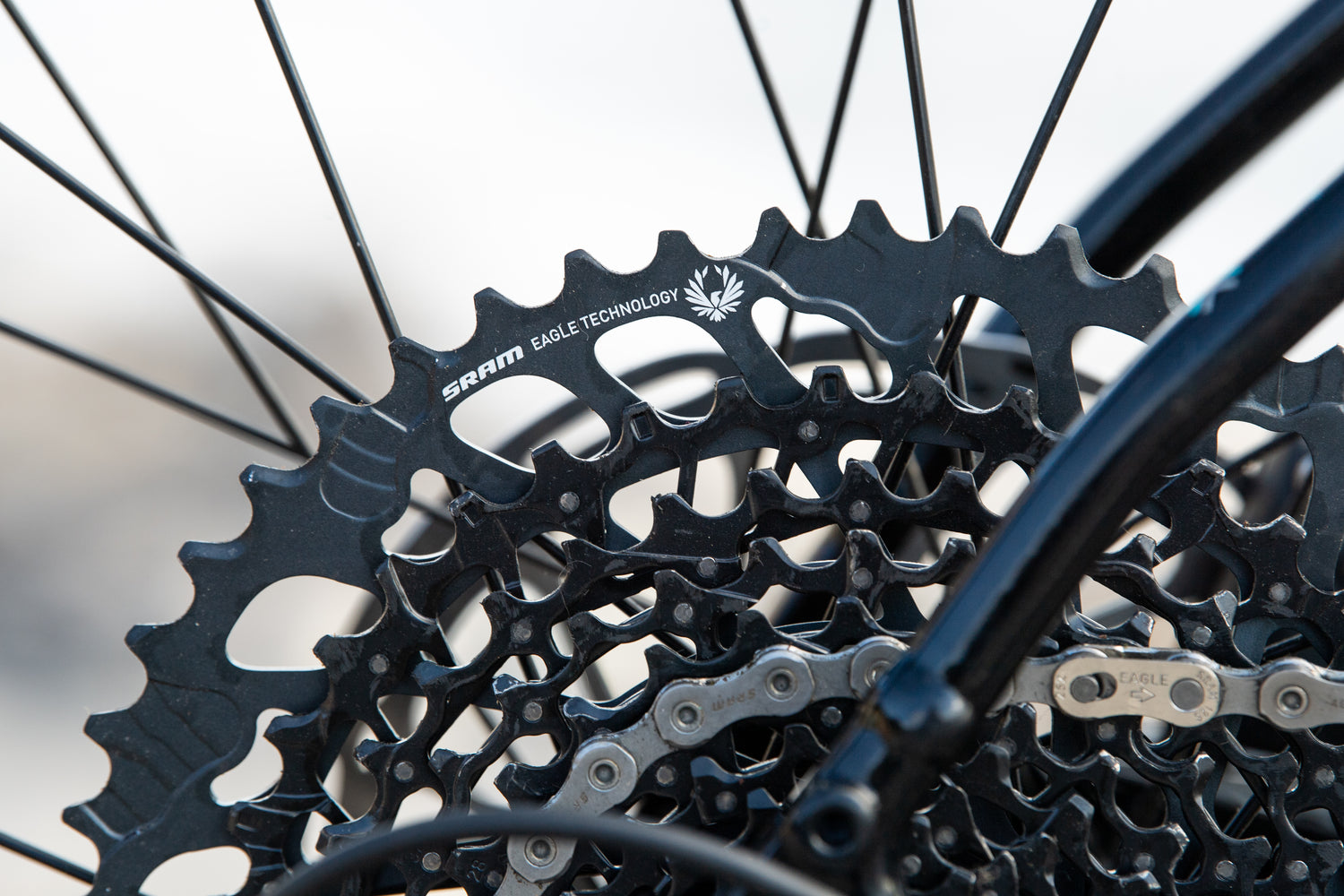 MARIN Gestalt XR 2025