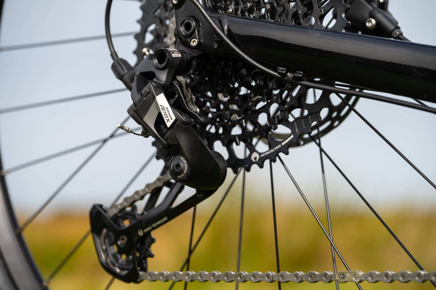 MARIN Gestalt XR 2025