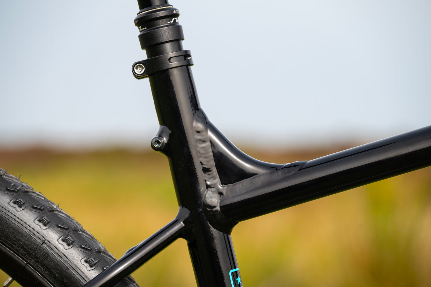 MARIN Gestalt XR 2025