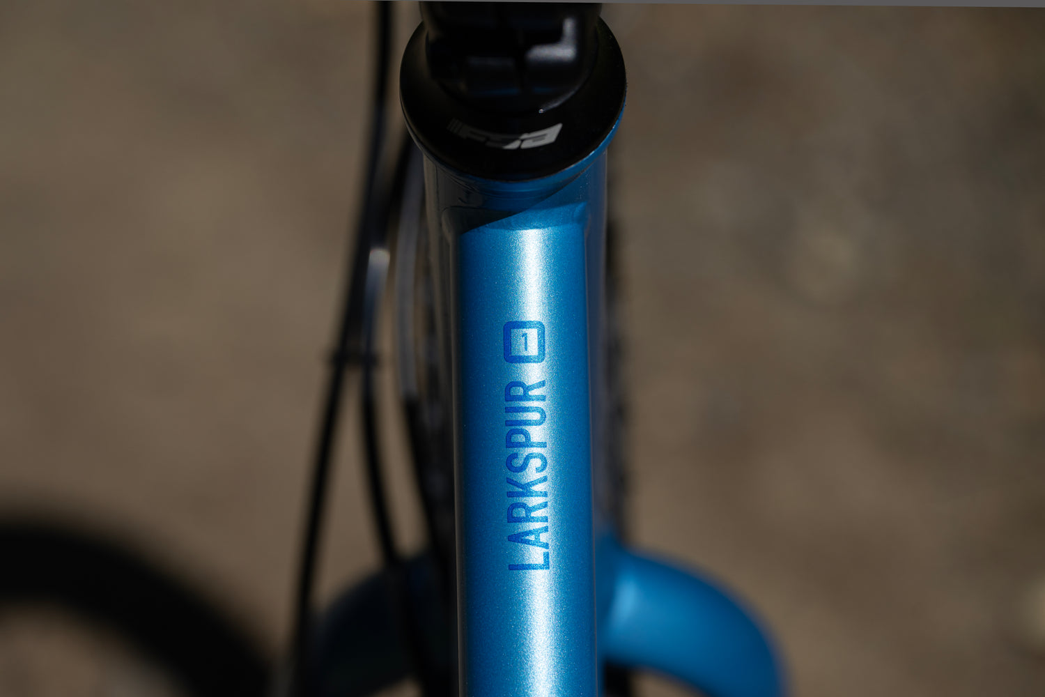 MARIN Larkspur 1 2025