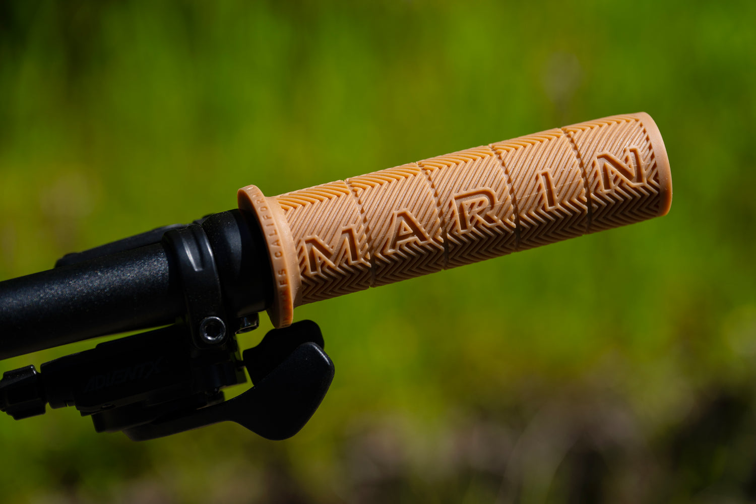 MARIN Larkspur 1 2025