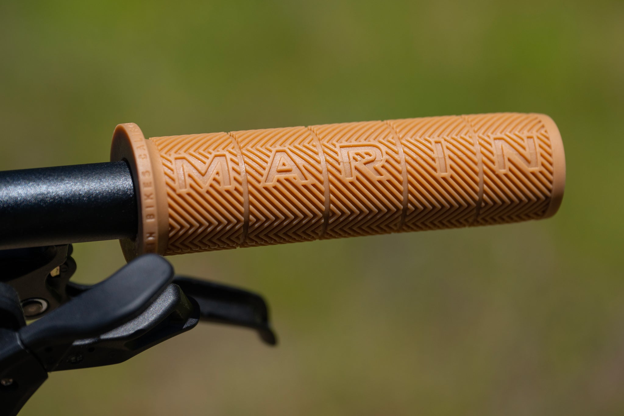 MARIN Larkspur 2 2025