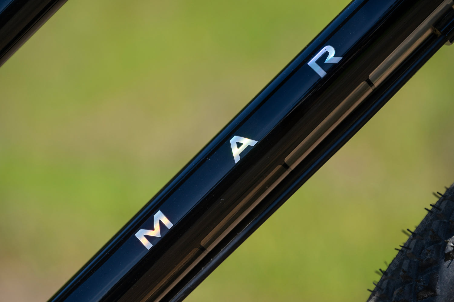 MARIN Larkspur 2 2025