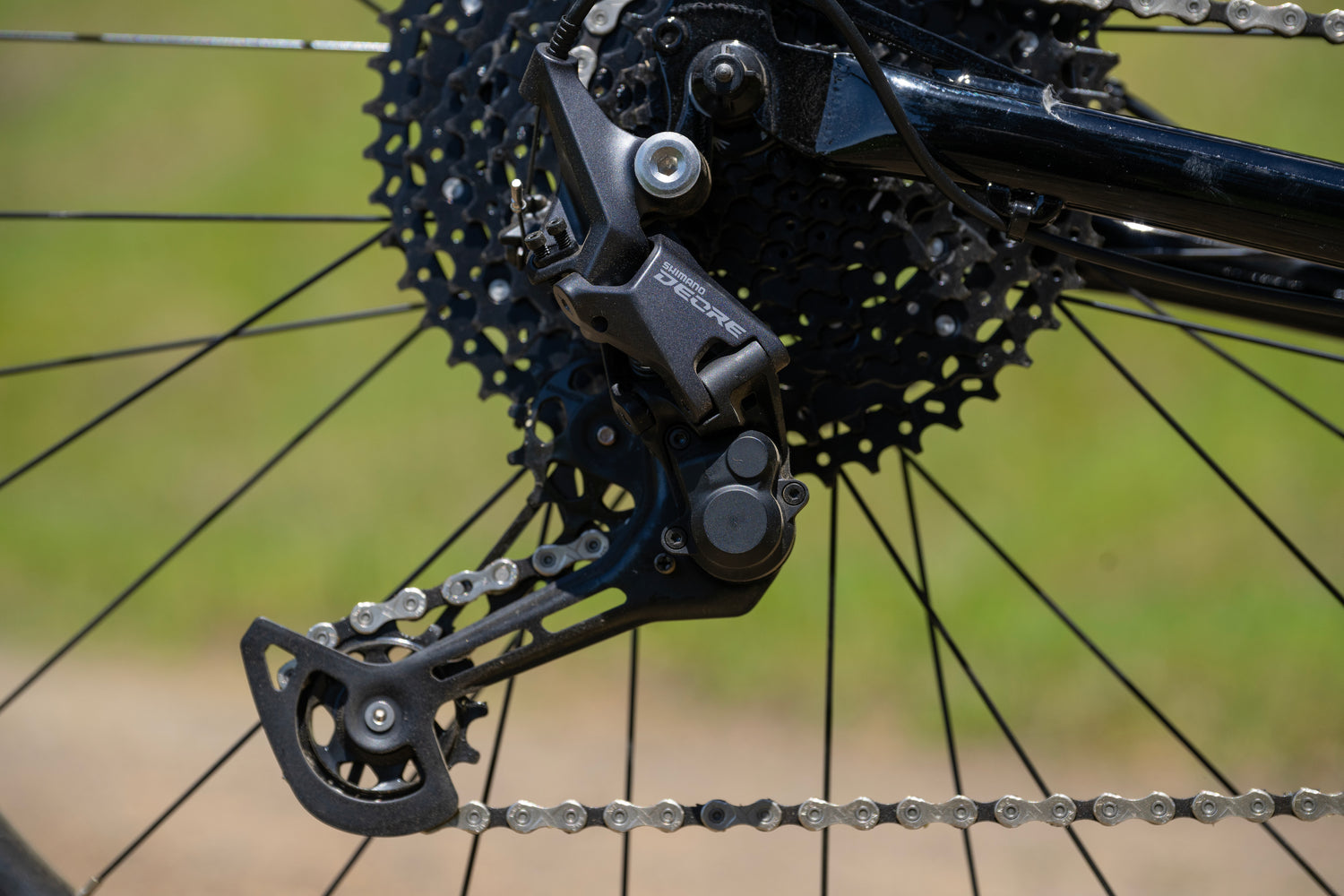 MARIN Larkspur 2 2025