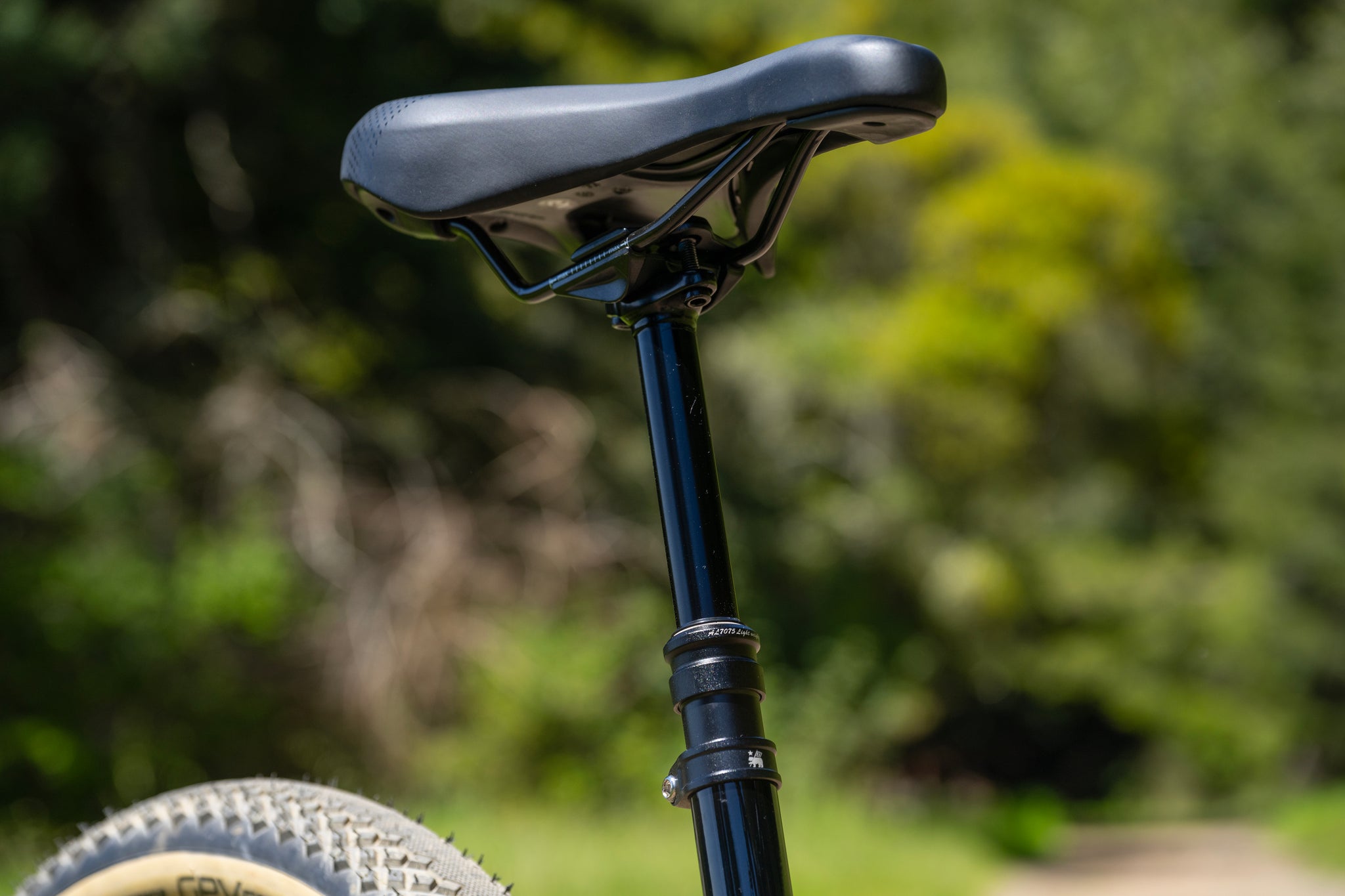 MARIN Larkspur 2 2025