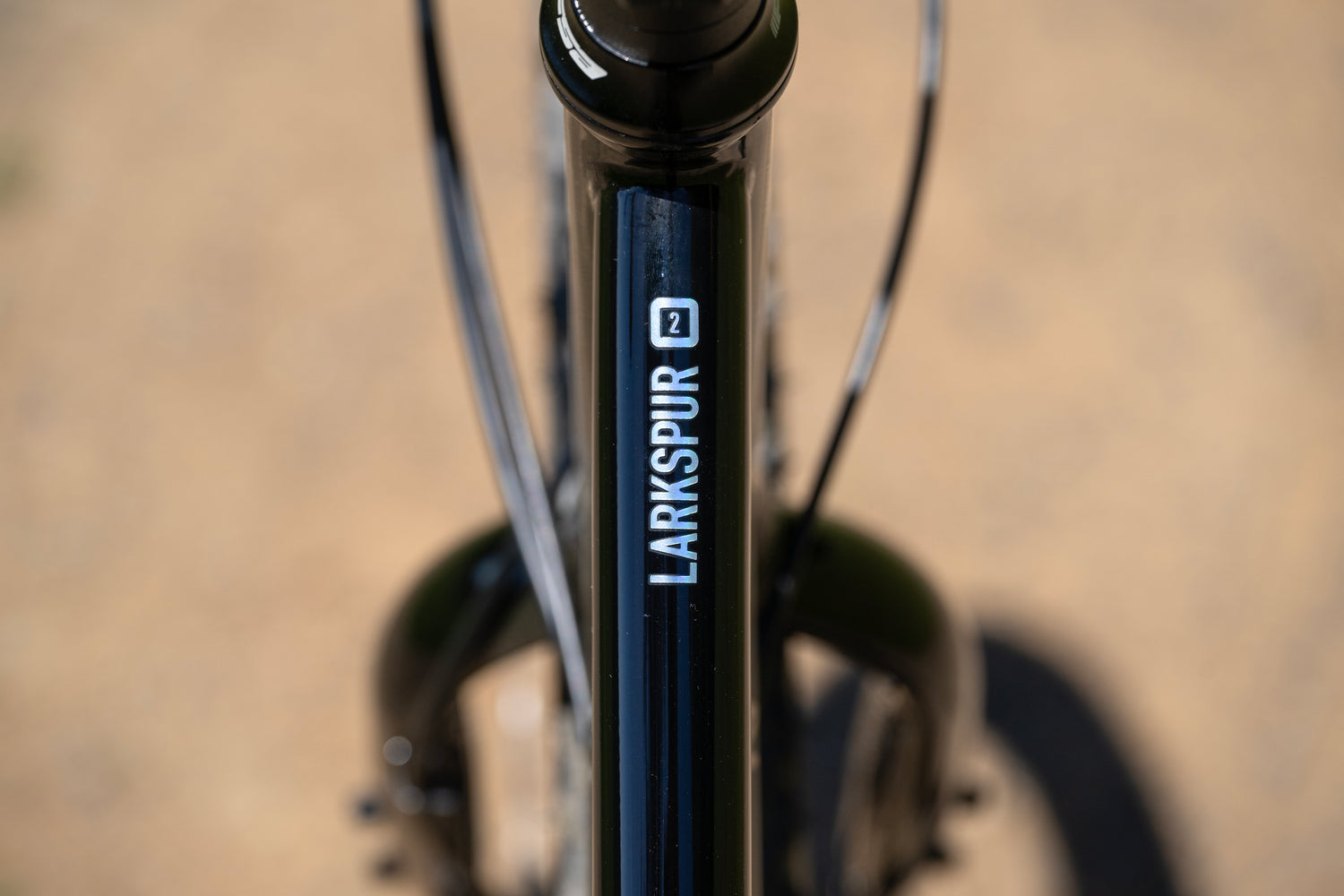 MARIN Larkspur 2 2025