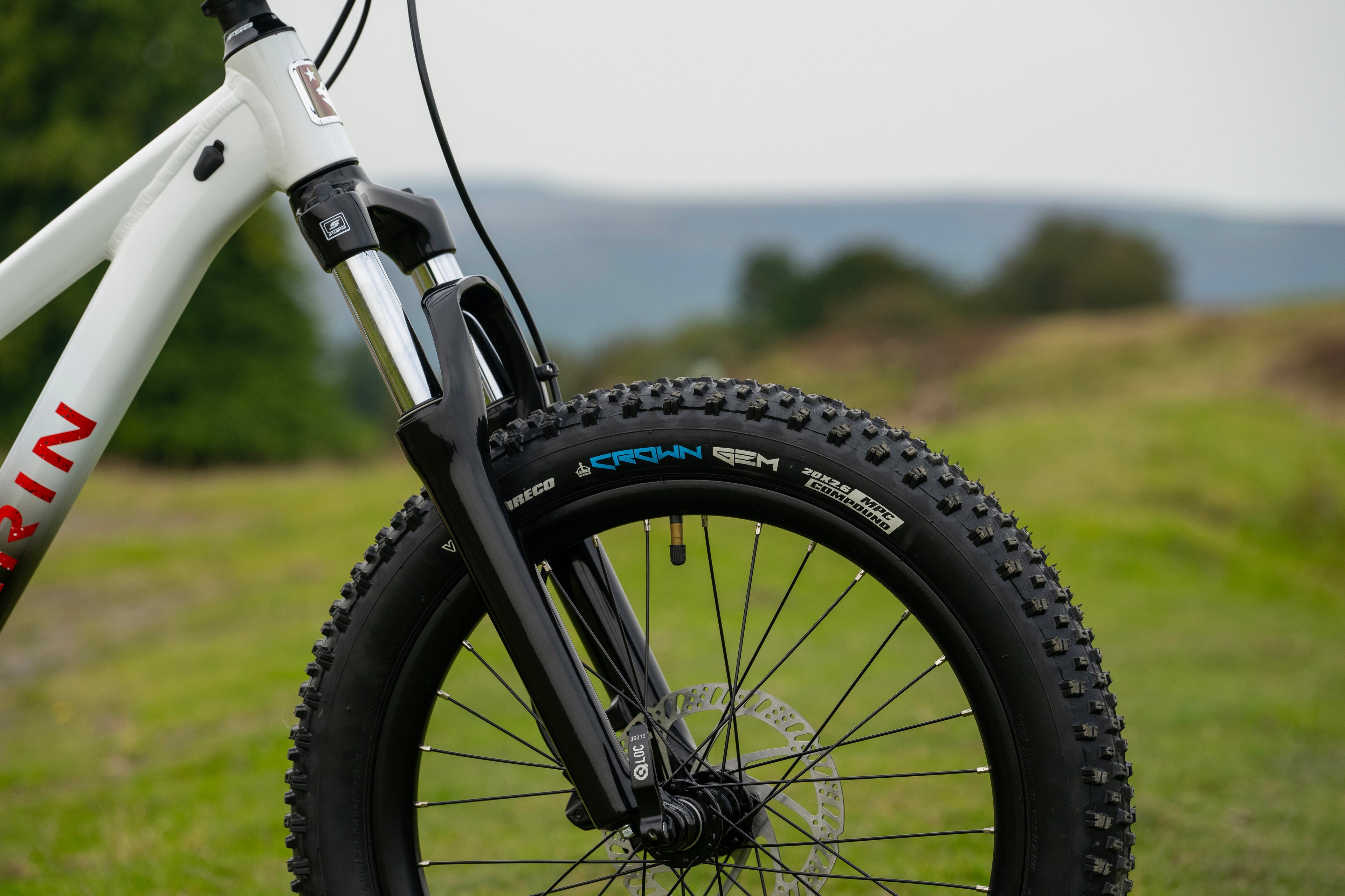 MARIN San Quentin 20" 2025