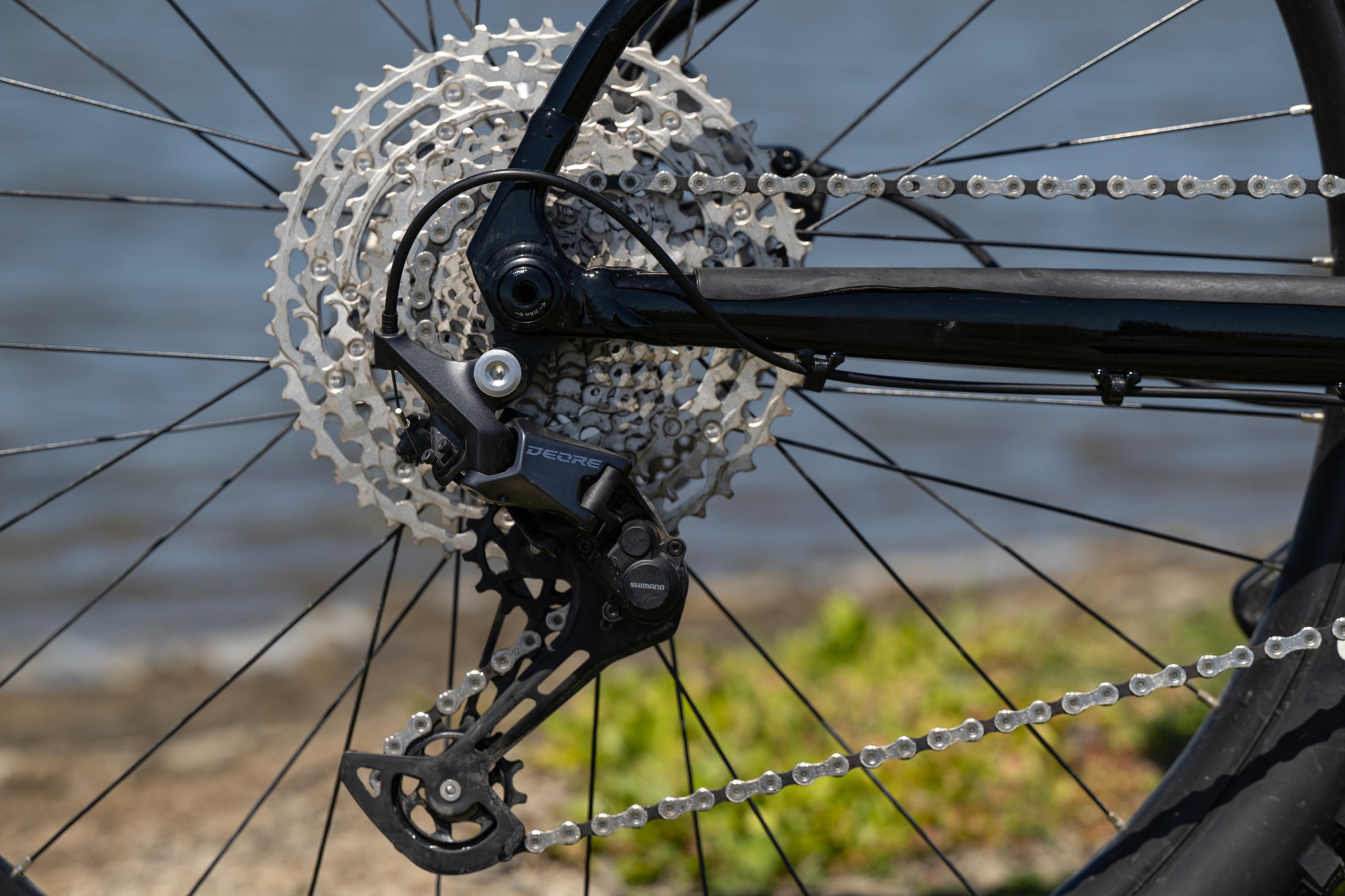 MARIN San Quentin 3 29" 2024