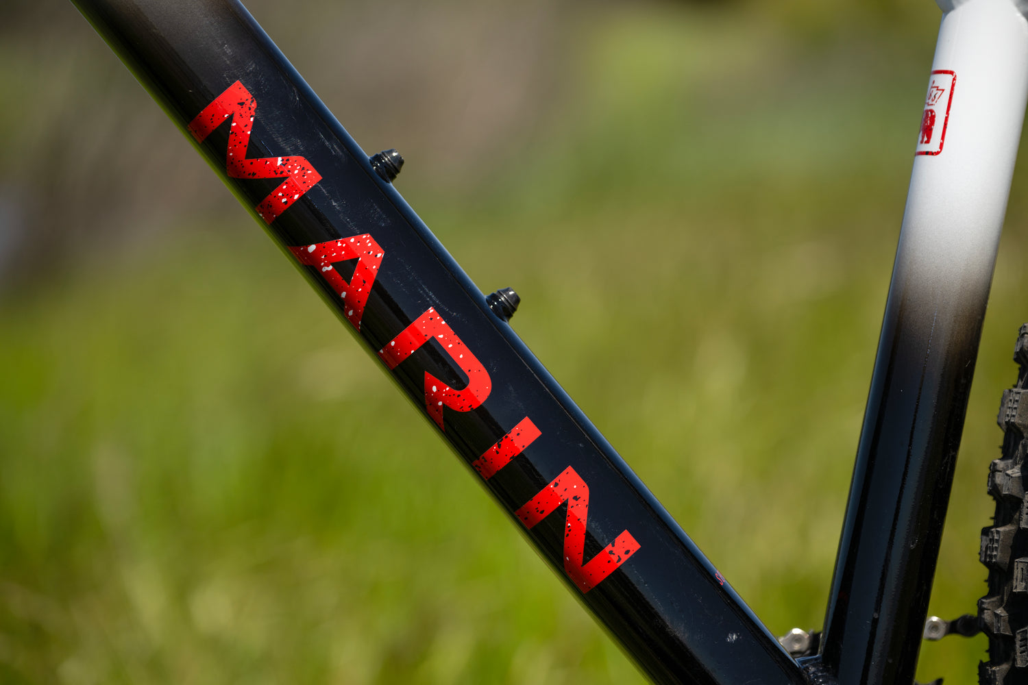 MARIN San Quentin 3 29" 2024