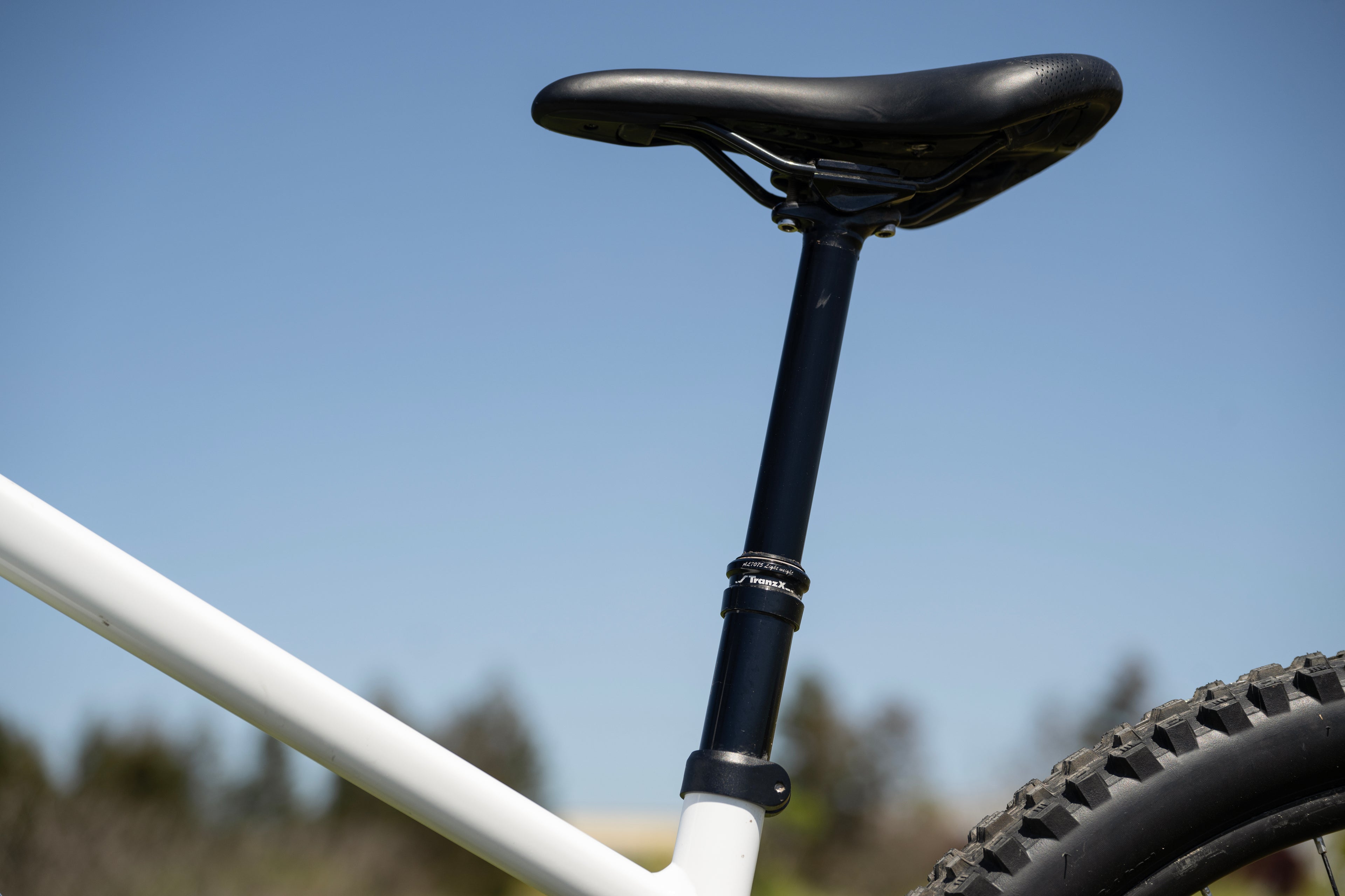 MARIN San Quentin 3 29" 2024