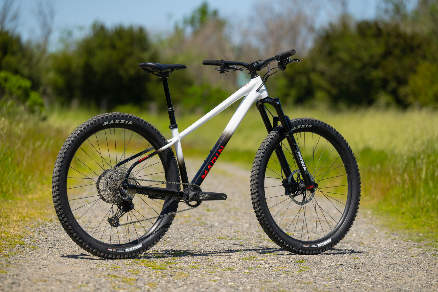 MARIN San Quentin 3 29" 2024