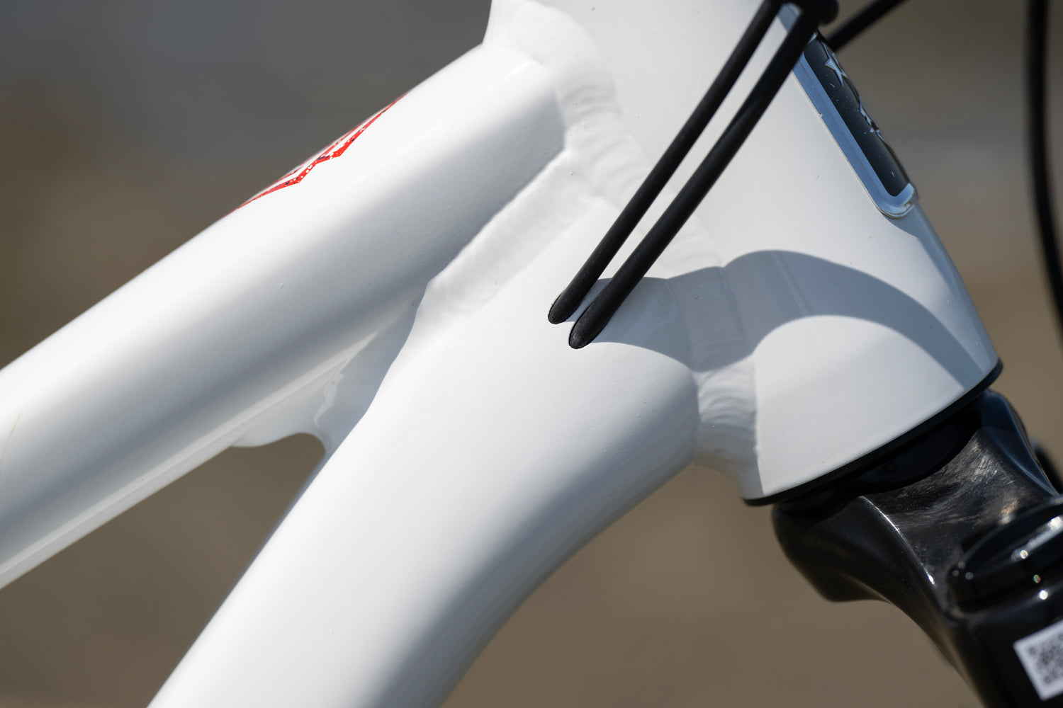 MARIN San Quentin 3 29" 2024