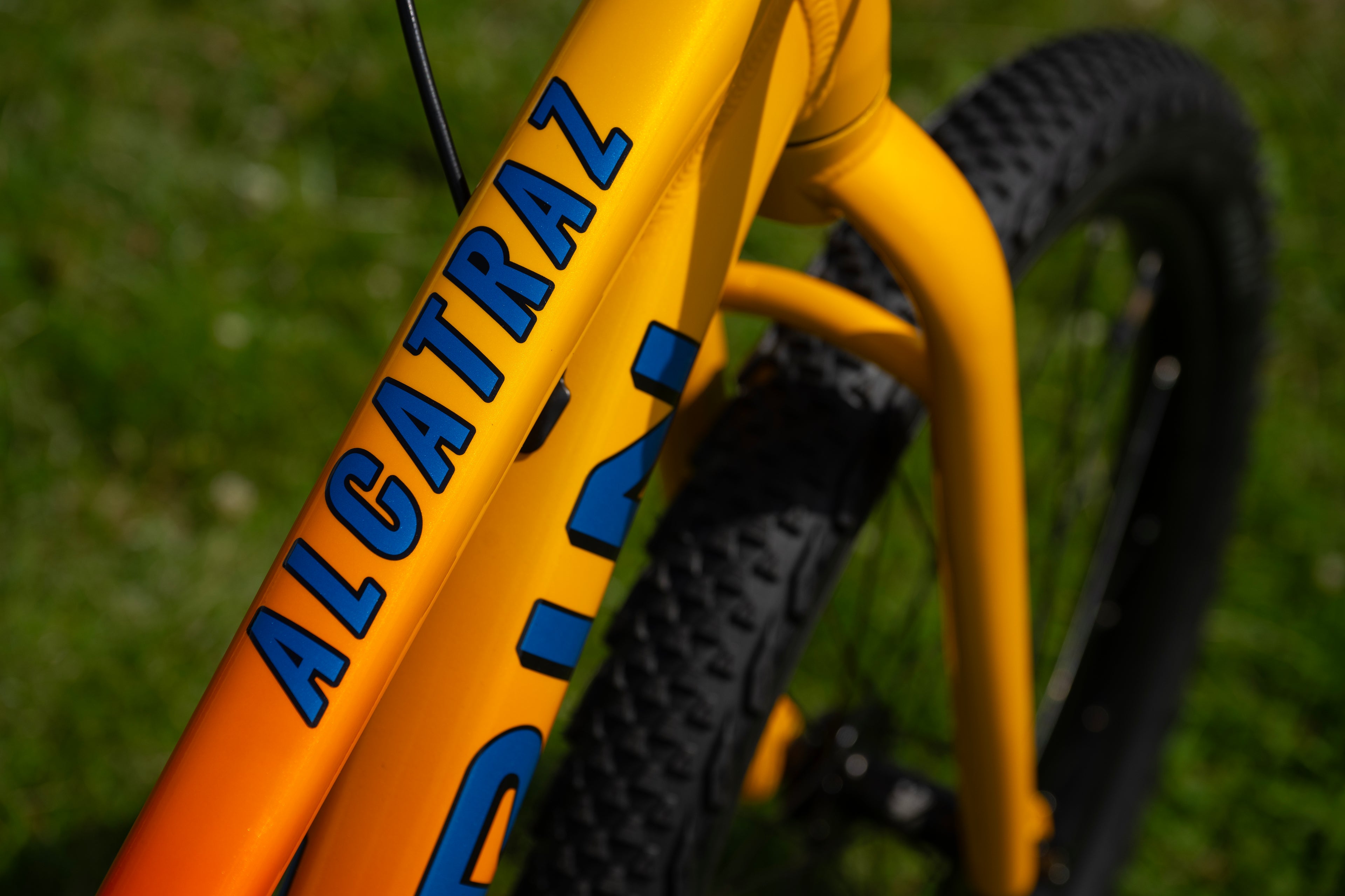 MARIN Alcatraz 24" 2025
