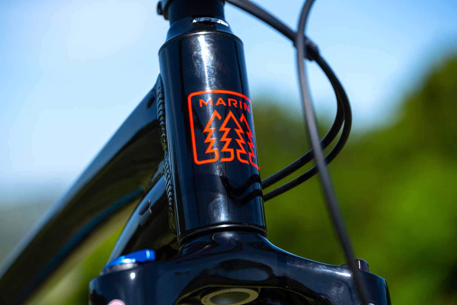 MARIN Bobcat Trail 5 2025