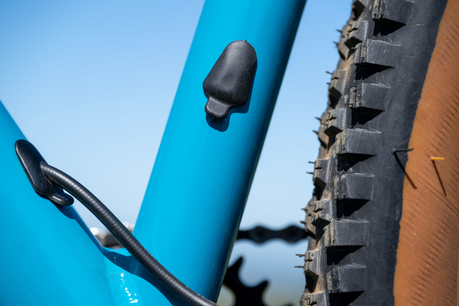 MARIN Bobcat Trail 5 2025