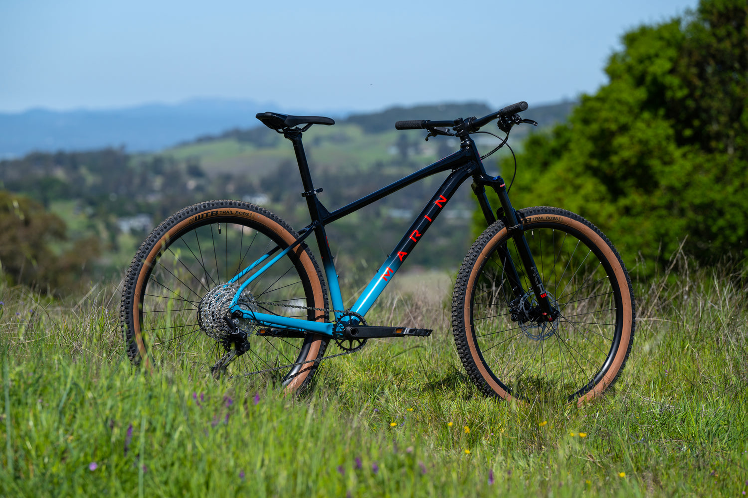 MARIN Bobcat Trail 5 2025