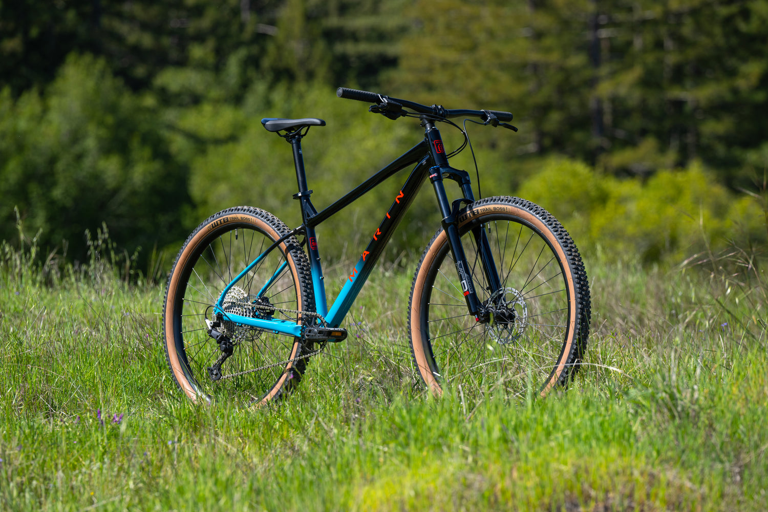 MARIN Bobcat Trail 5 2025