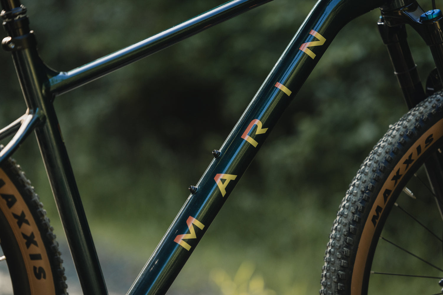 MARIN Team Marin 2 2025