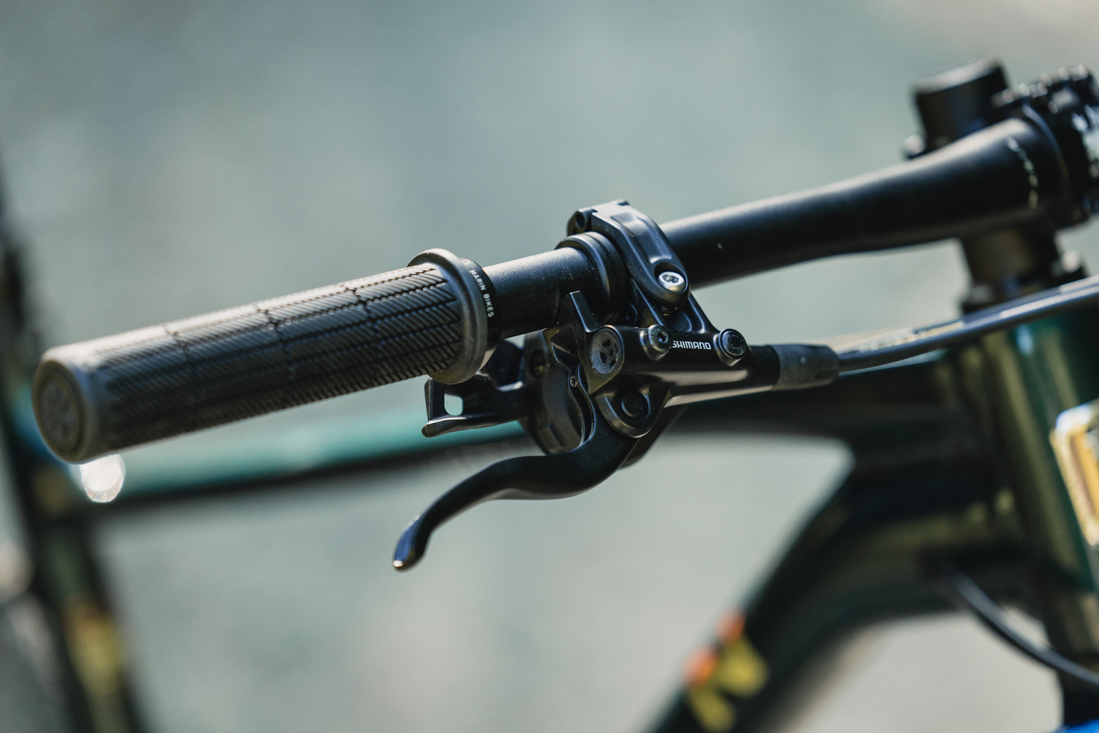 MARIN Team Marin 2 2025