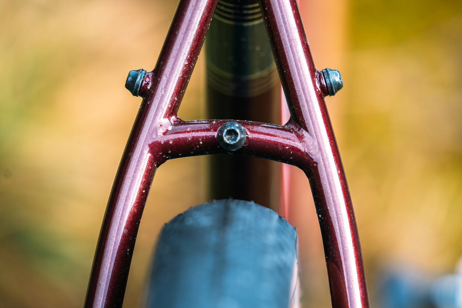 MARIN Nicasio 2 2025