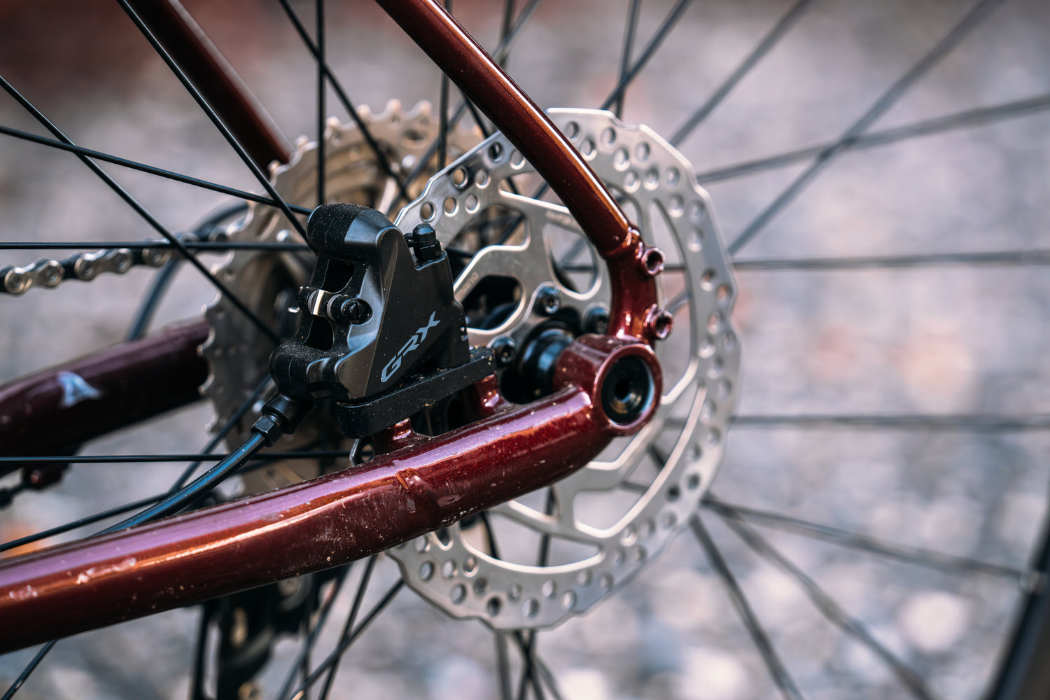 MARIN Nicasio 2 2025