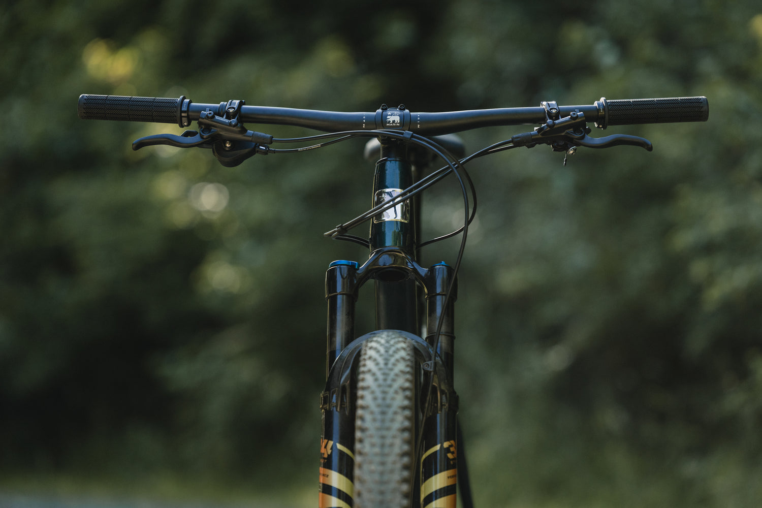 MARIN Team Marin 2 2025