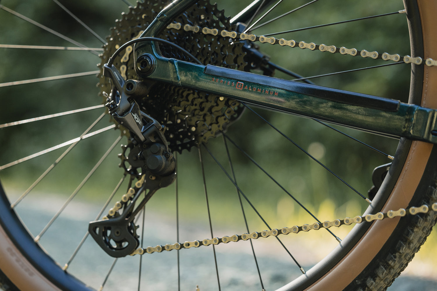 MARIN Team Marin 2 2025