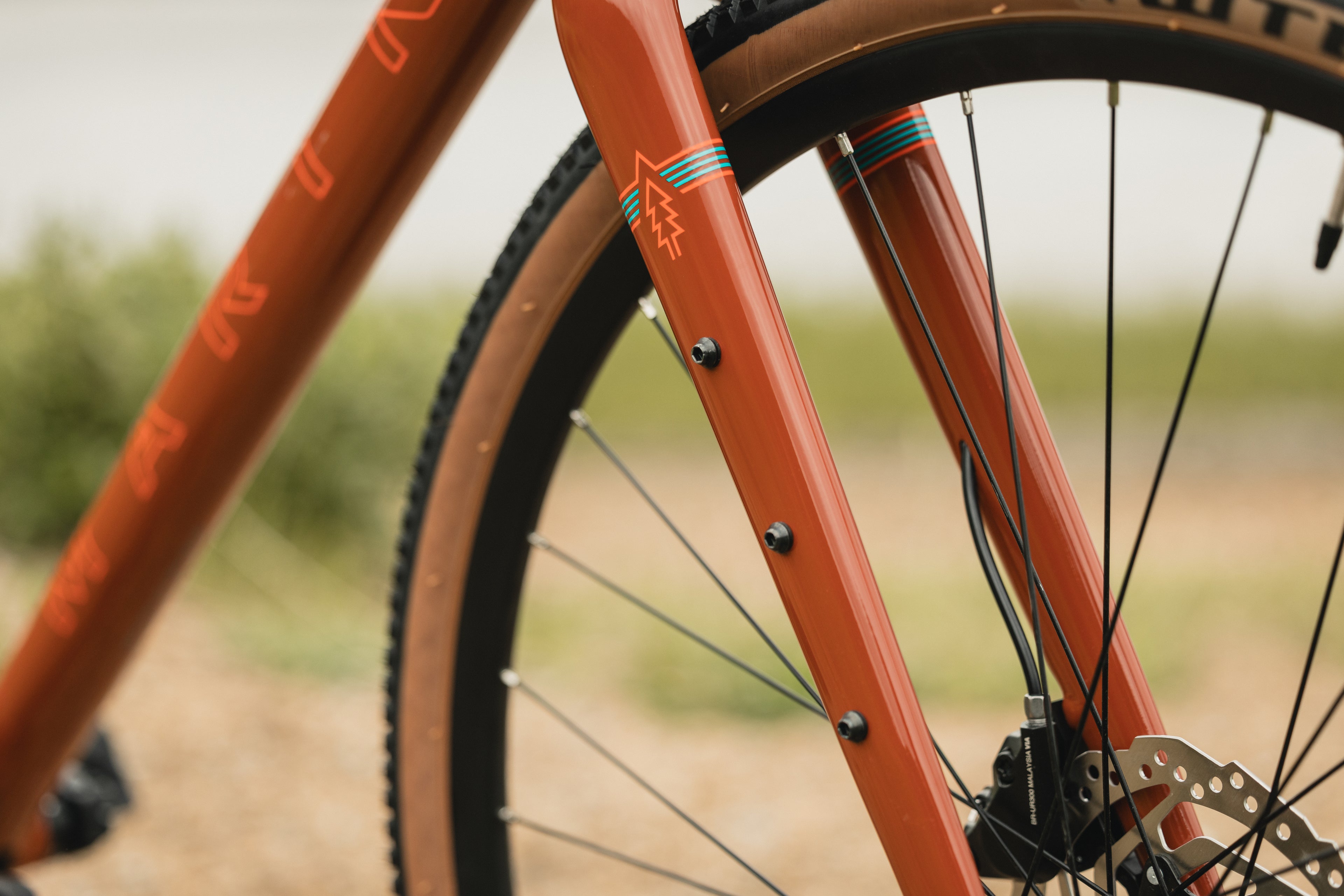 MARIN DSX 2 2025