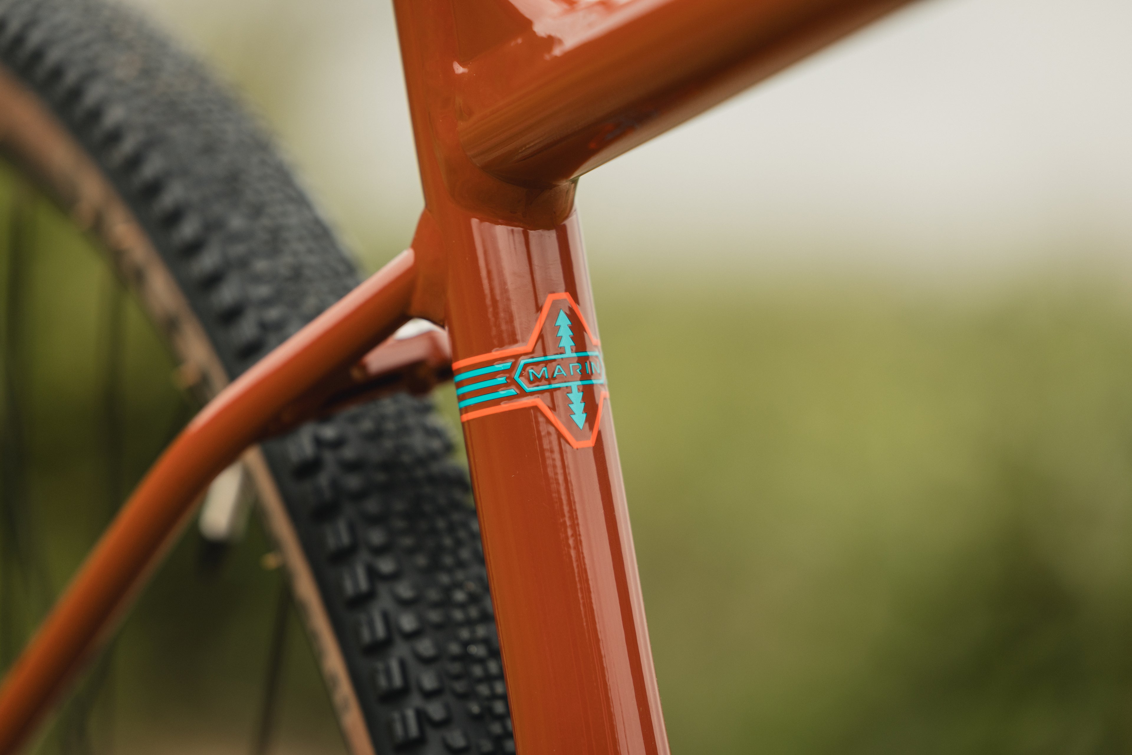 MARIN DSX 2 2025