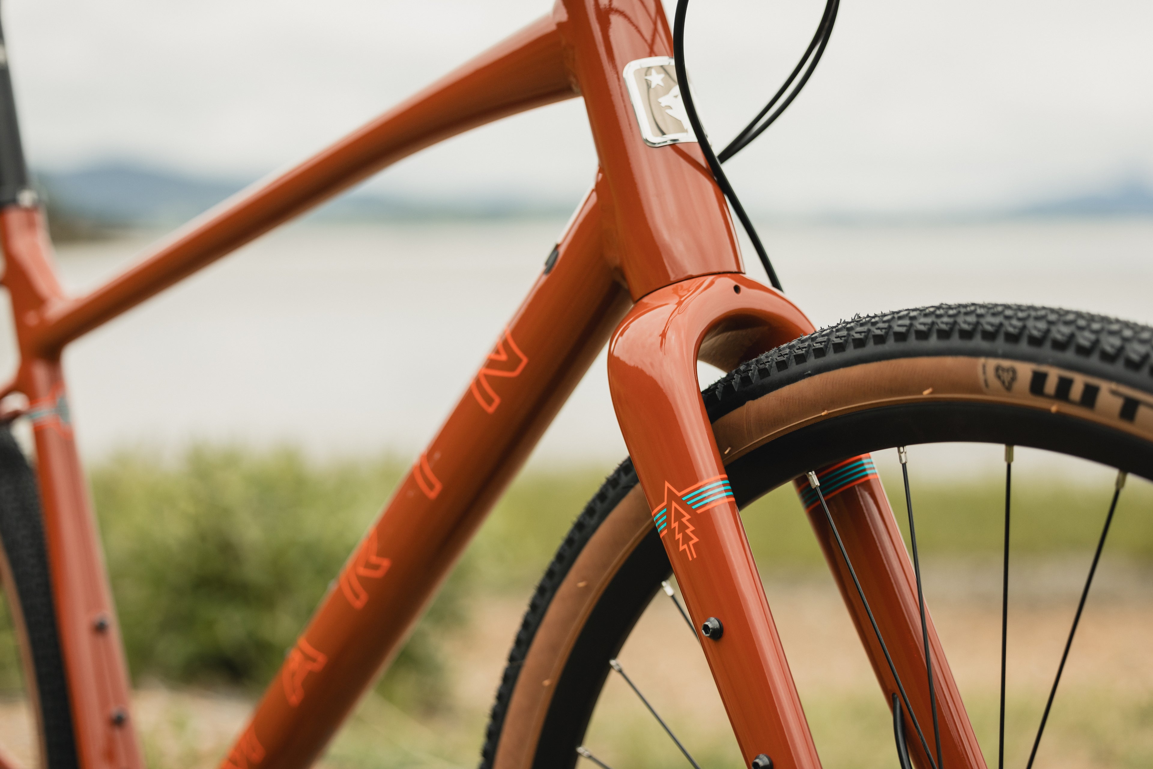 MARIN DSX 2 2025