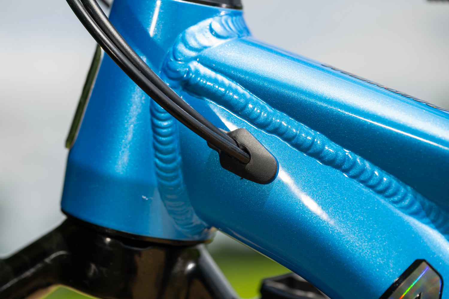 MARIN San Quentin 24" 2025