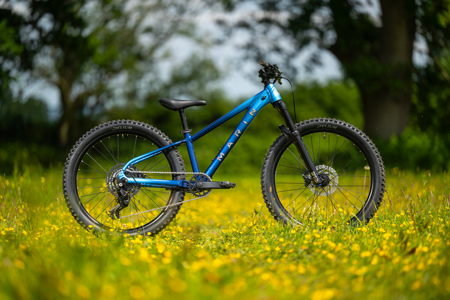 MARIN San Quentin 24" 2025