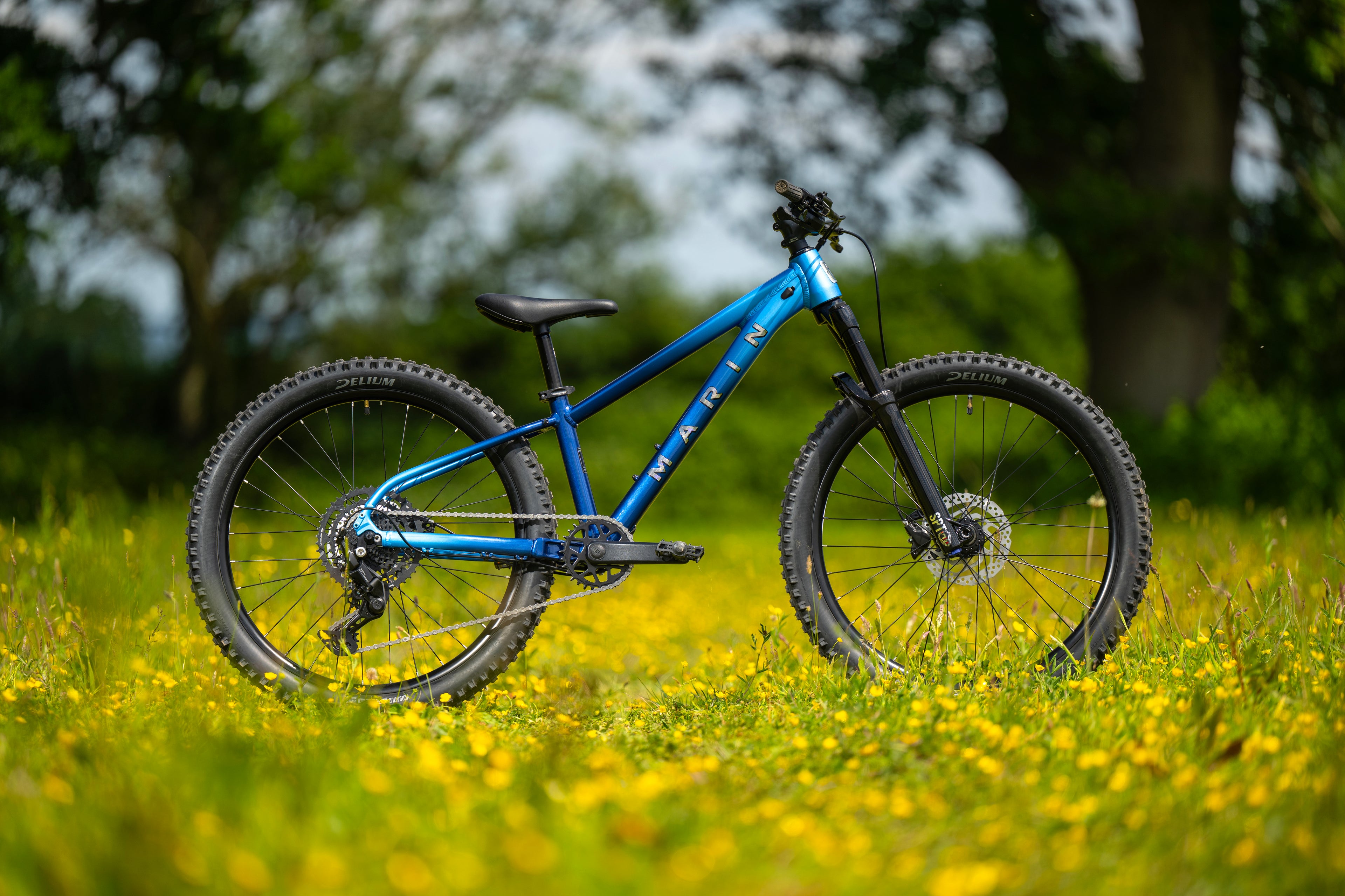 MARIN San Quentin 24" 2025