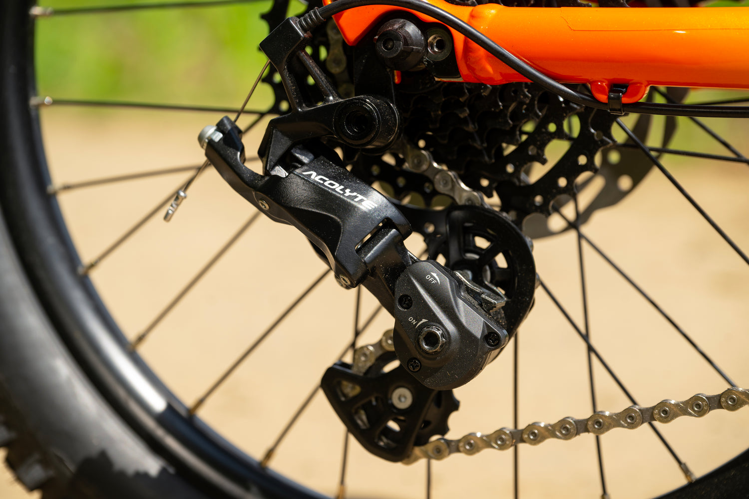 MARIN San Quentin 20" 2025