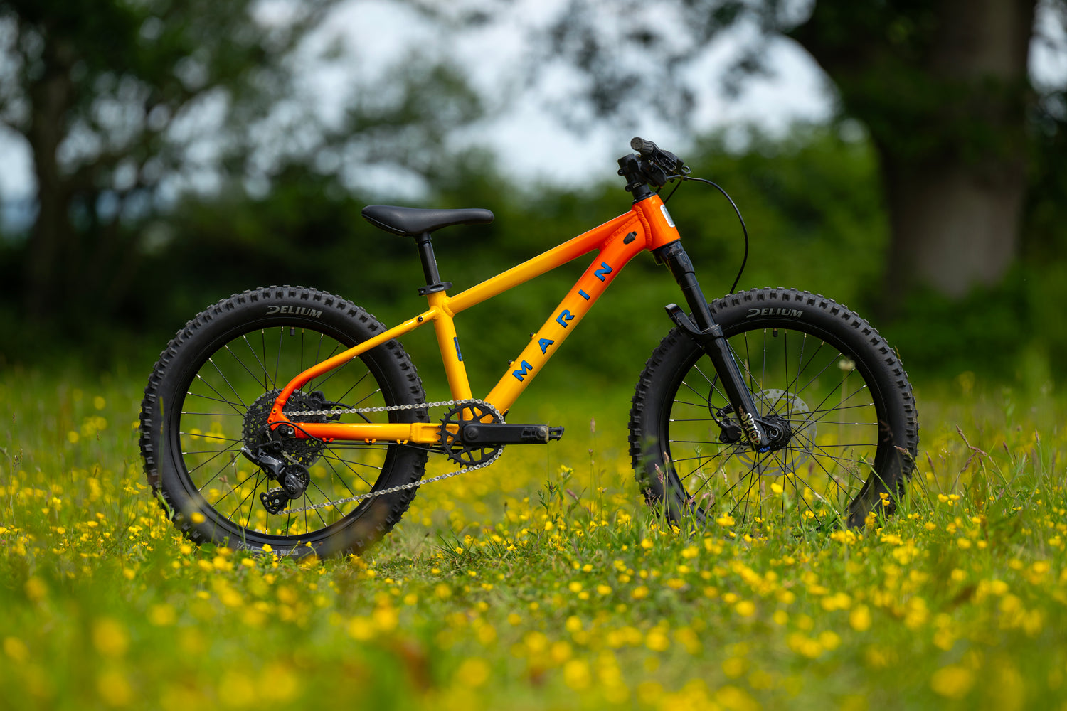 MARIN San Quentin 20" 2025