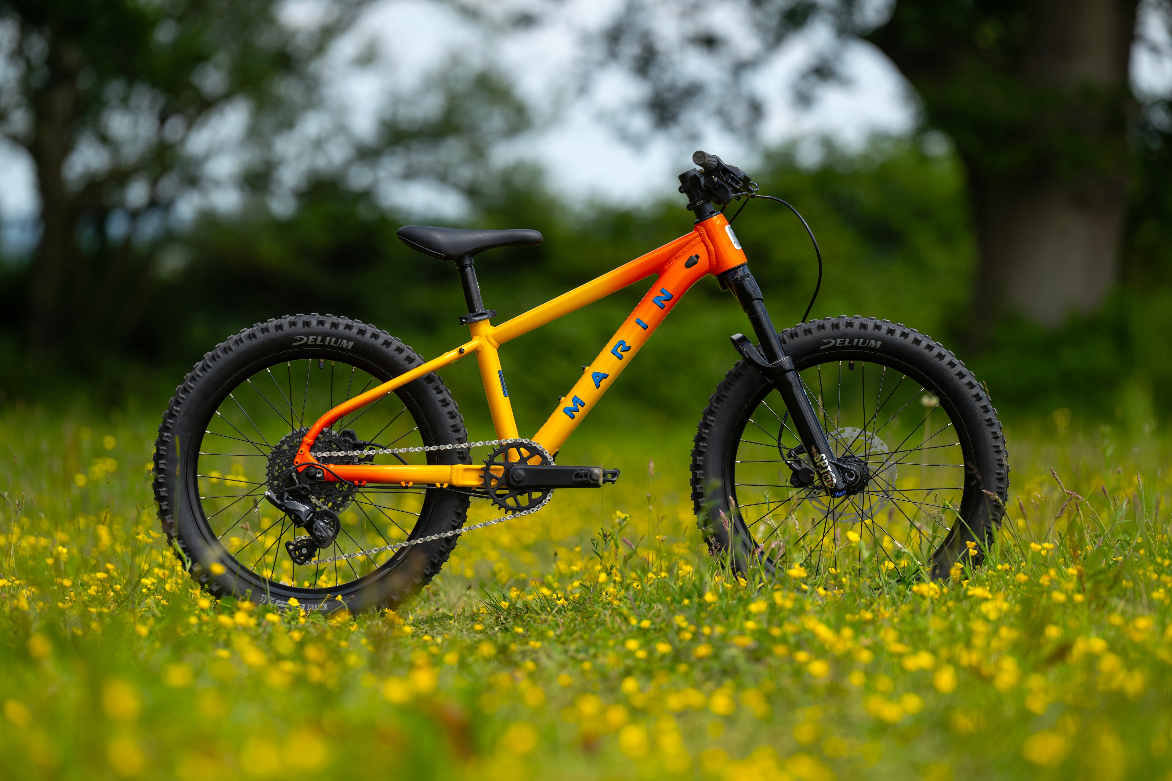 MARIN San Quentin 20" 2025