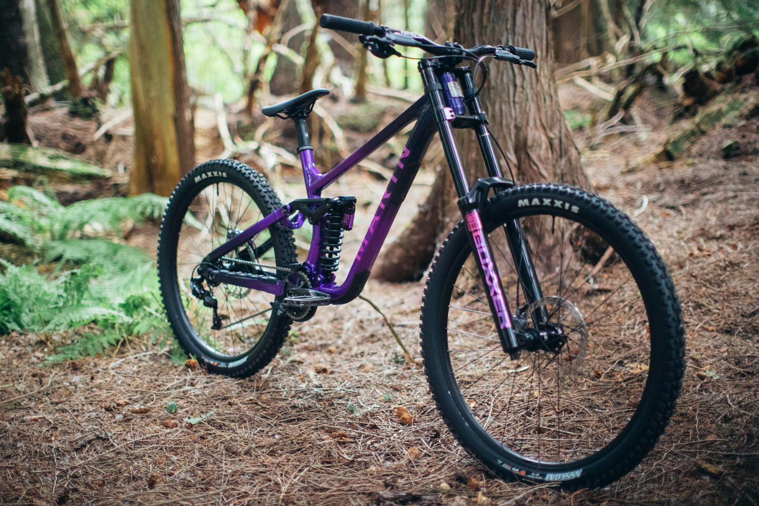 MARIN Quake DH 2025