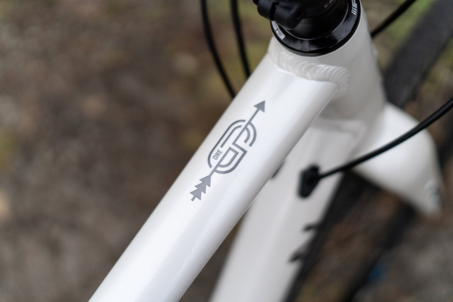 MARIN Gestalt 1 2025