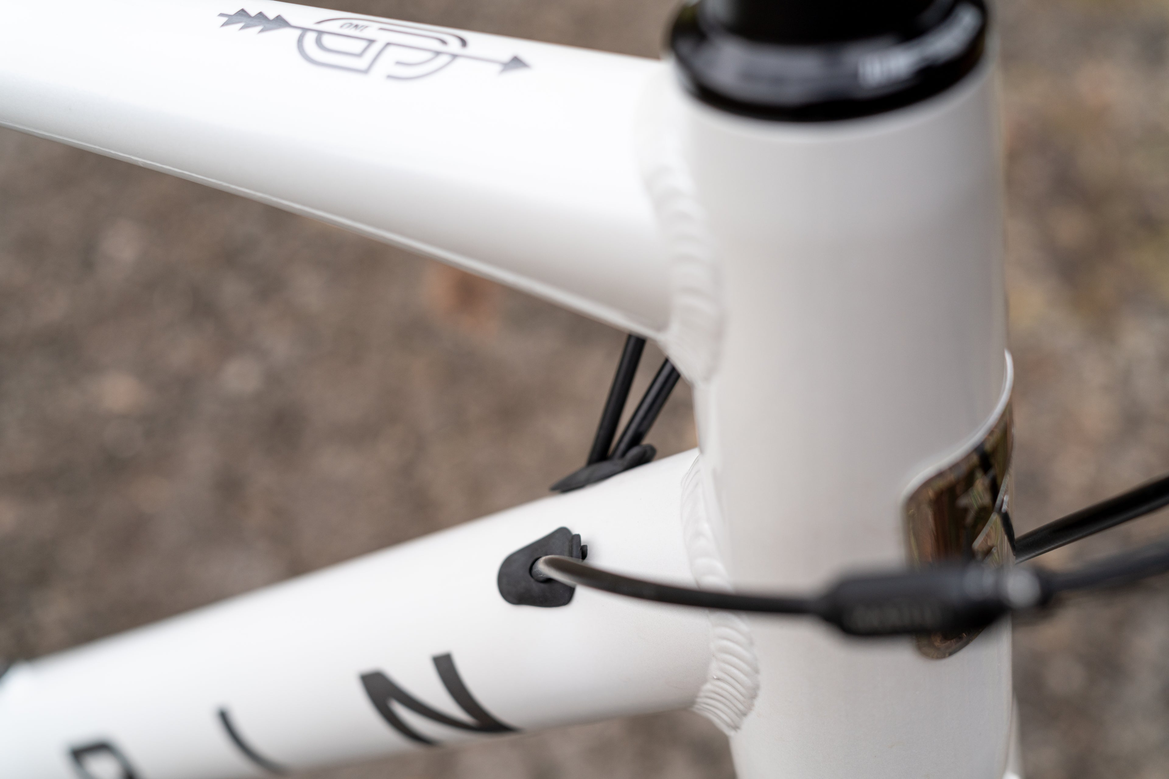 MARIN Gestalt 1 2025