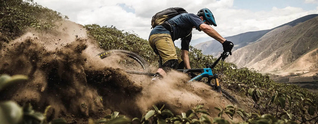 Trail