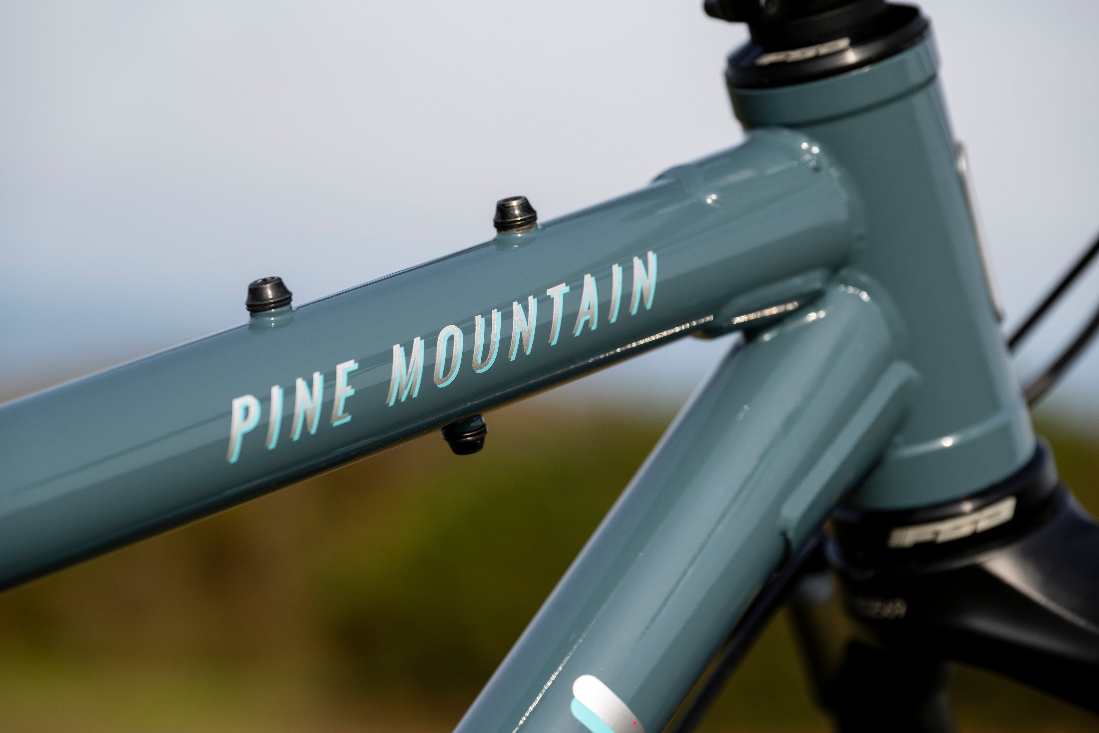 MARIN Pine Mountain 1 2025