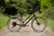 MARIN Larkspur 2 2025