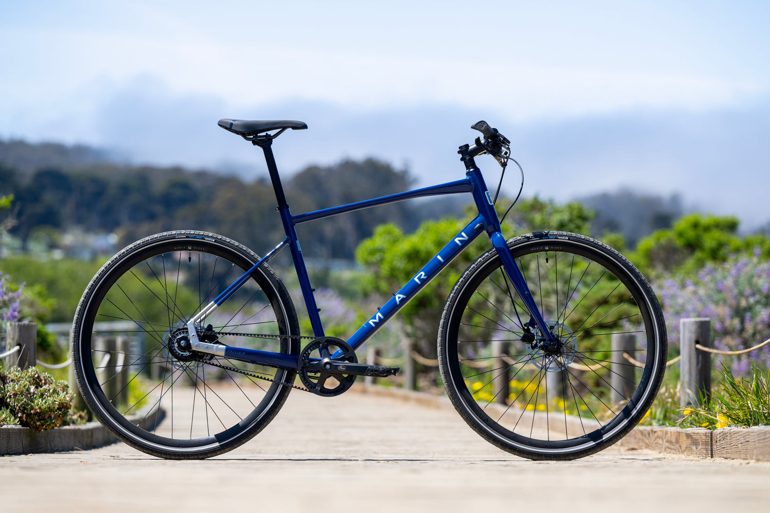 MARIN Presidio 3 2025