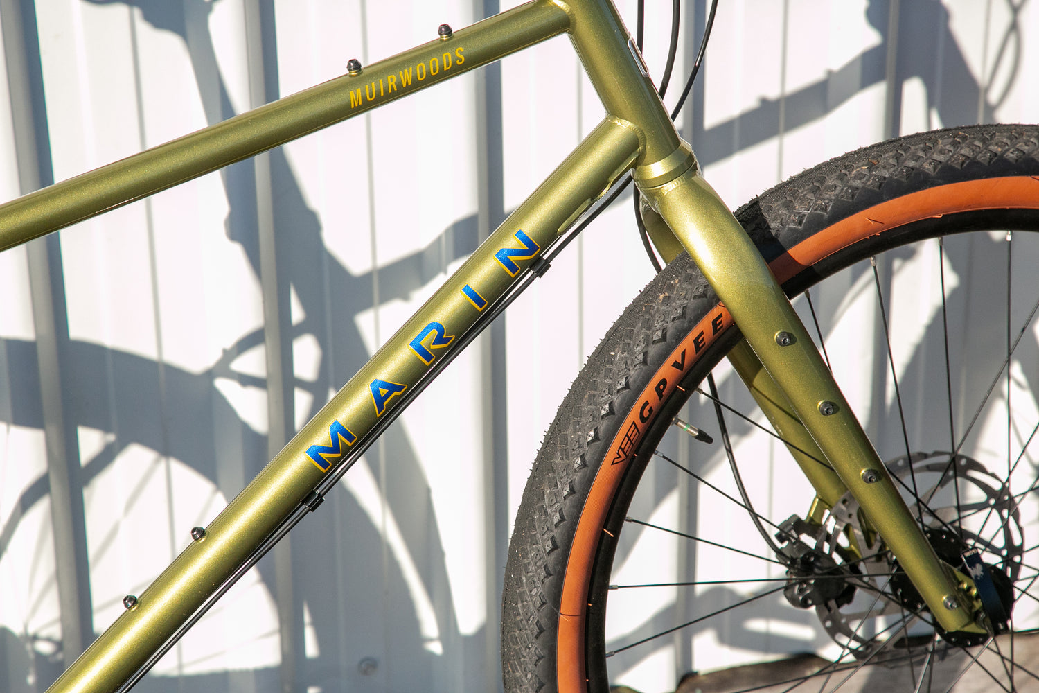 MARIN Muirwoods 2025