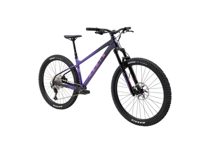 MARIN San Quentin 3 2025