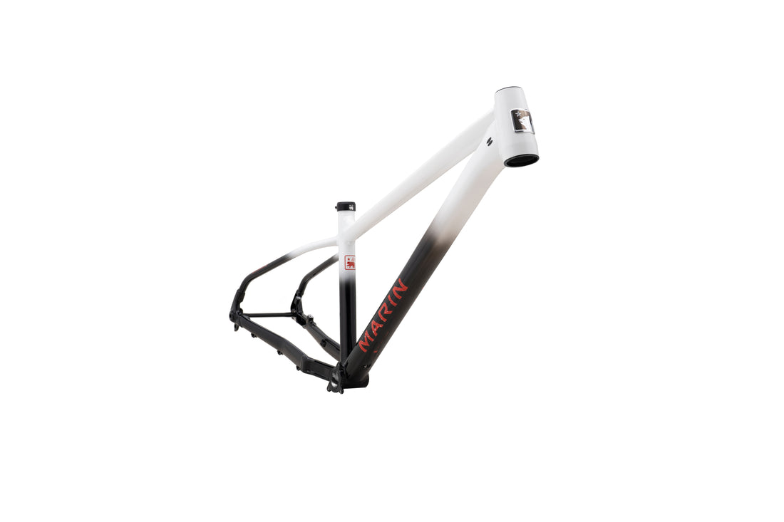 Cuadro MARIN San Quentin 3 2025
