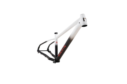 Cuadro MARIN San Quentin 3 2025