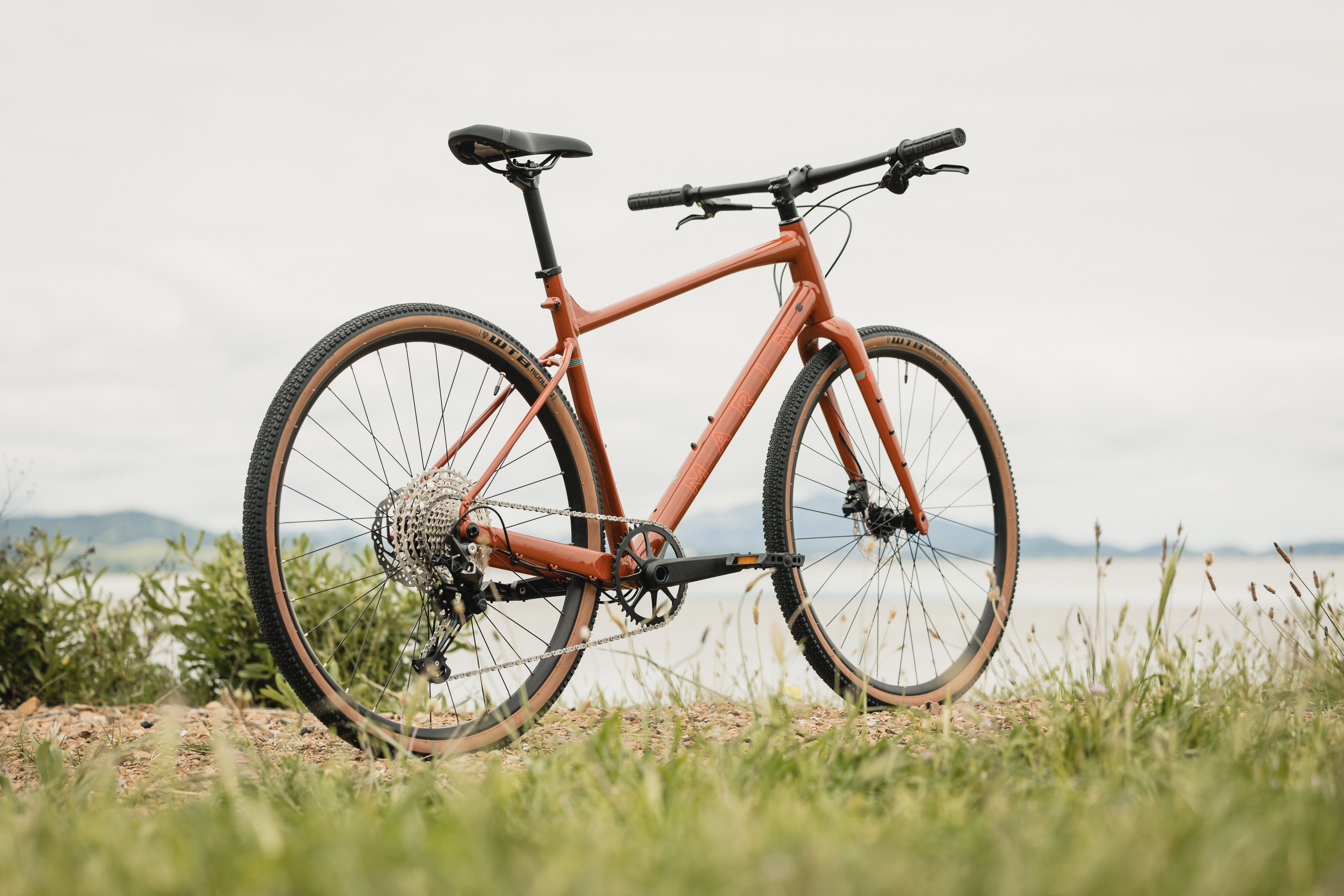 MARIN DSX 2 2025