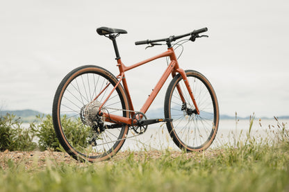 MARIN DSX 2 2025